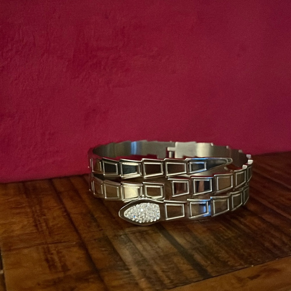 Women’s stainless steel snake bracelet